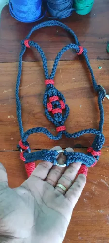Cabeçada gaúcha 