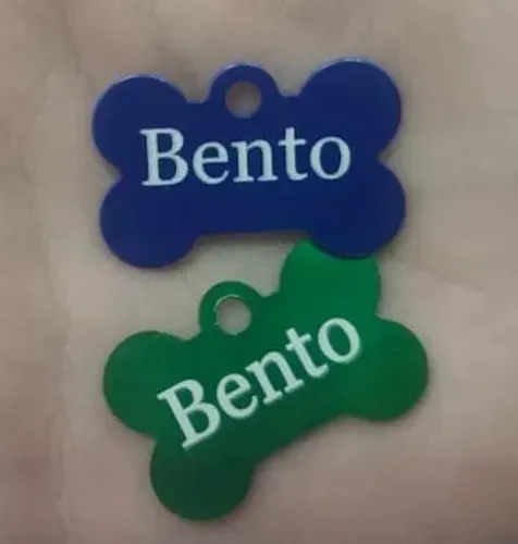 Pigentes para animais de estimação