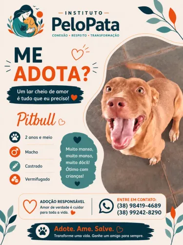 Adote!