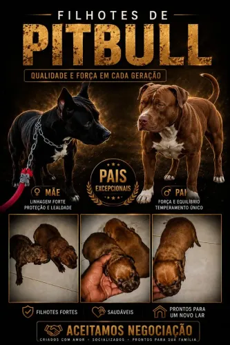 Vendo filhotes de pitbull 