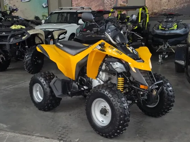 QUADRICICLO DS 250CC ANO 2018 REVISADO 