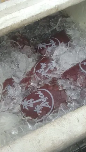 Vendo Açaí ? Novinho Top de Qualidade no Atacado e Varejo ?