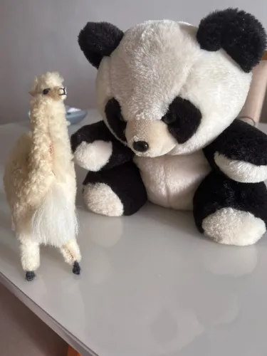 Par de Bichinhos de Pelúcia Usados