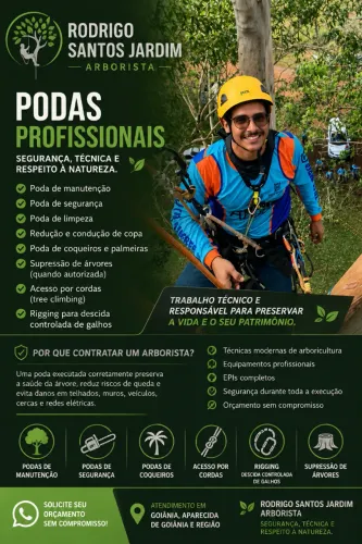 podas de arvore profissional
