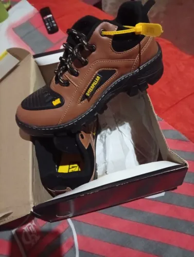 Bota cat