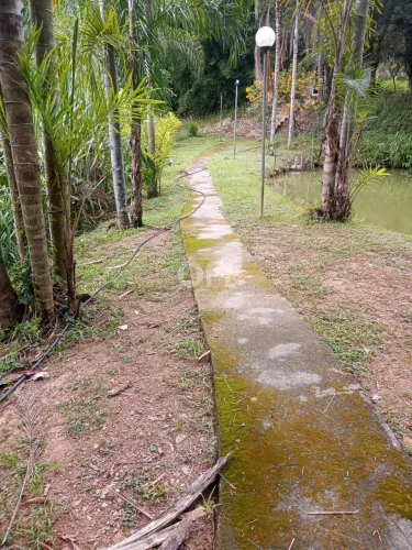 sítio - Campos de São Benedito - Franco da Rocha