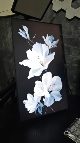 Monitor AOC 24 144HZ IPS 1MS