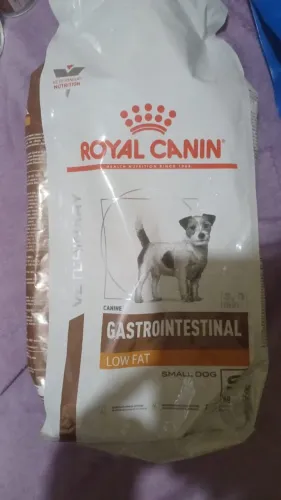 ração para cães