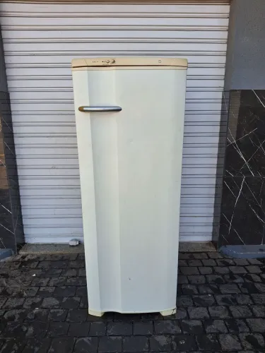 Vendo geladeira Electrolux 220v