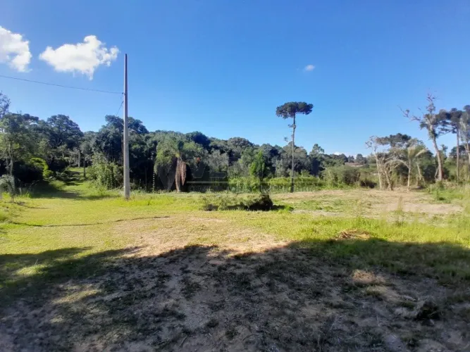 Chácara com 8.553m² - Tijucas do Sul.