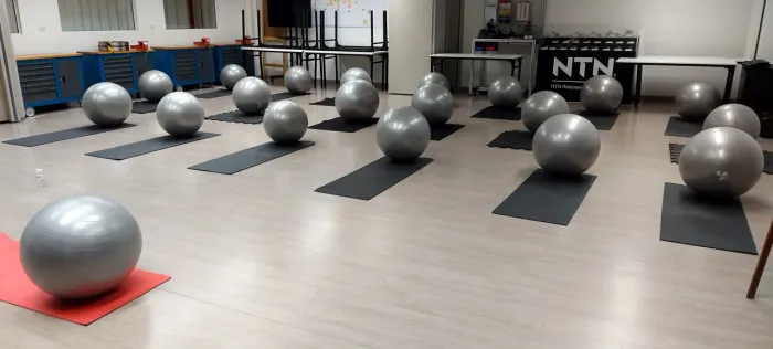 Bolas de pilates - Kit 20 bolas e bombas