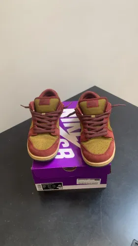 Nike dunk low pro sb