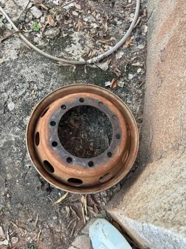 Roda 295