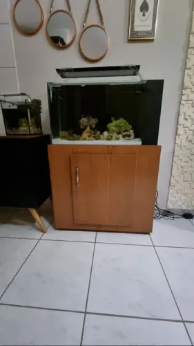 Aquário Marinho 100 Litros Completo