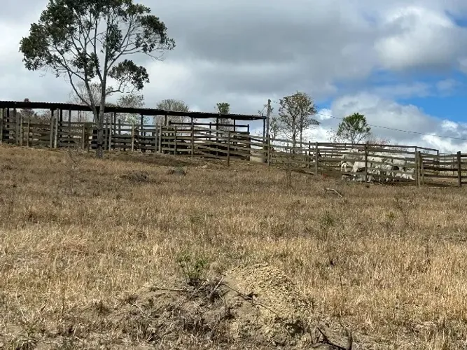 Terreno à venda em roças novas com curral, água e luz, capineira!!