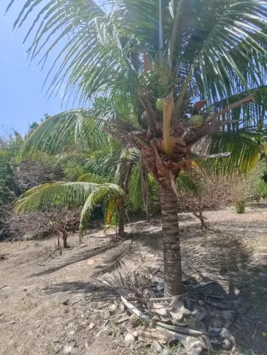 VENDO UMA CHÁCARA COM 5.671M² EM GUARAPIRANGA