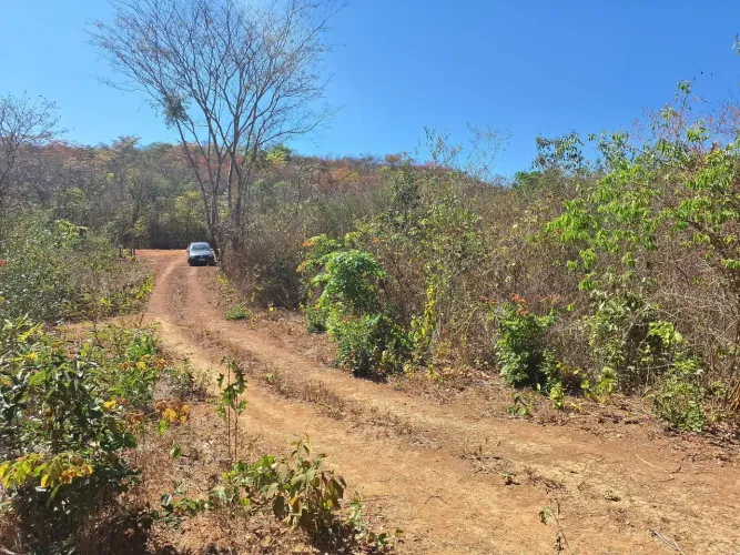 Vendo 2 chácaras terra boa e fértil, 30 km de Moc