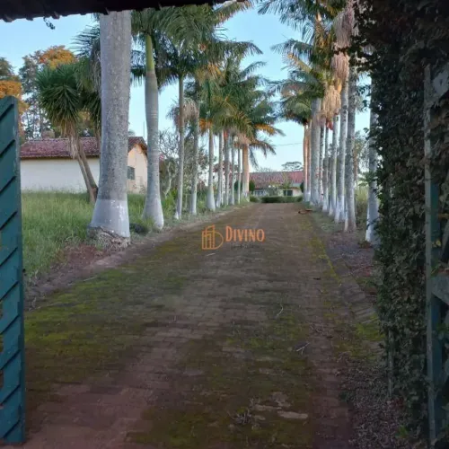 Sítio à Venda - Zona Rural