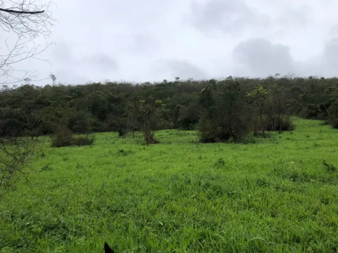 Excelente fazenda de 844 tarefas a venda em Mundo Novo bahia
