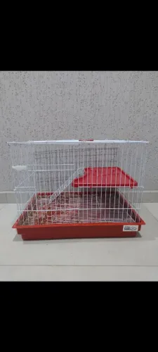 Gaiola 