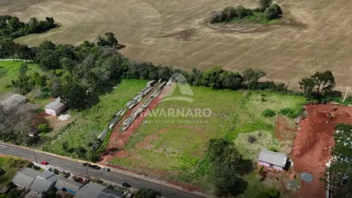 Terreno Padrão em Ponta Grossa