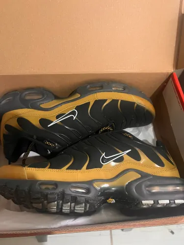 Nike Air Max Plus TN ?bronzine?
