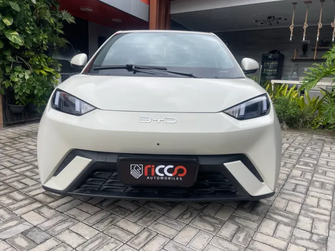 BYD Dolphin Mini (Elétrico) 2026