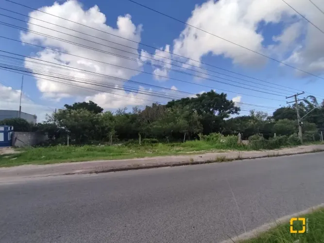 BROGNOLI VENDE - TERRENO COMERCIAL/RESIDENCIAL - SC 403 - VARGEM GRANDE