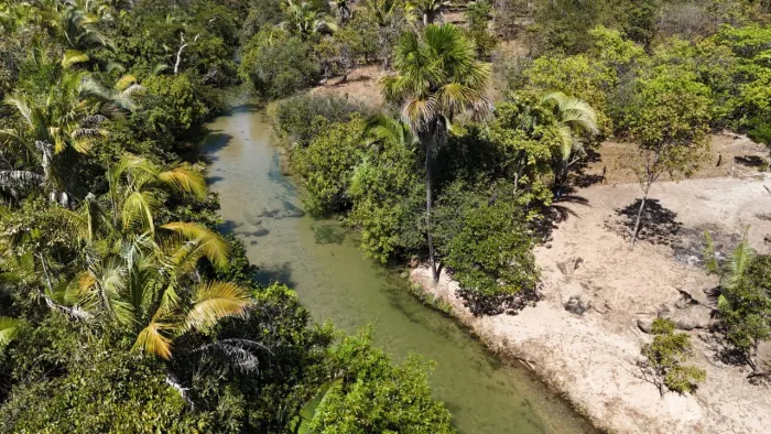 Vendo 1 alqueires e meio na beira do rio palmas em aurora Tocantins 