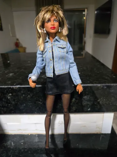 Barbie Tina Turner