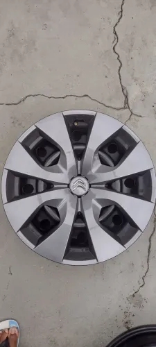 Uma Calota c4 cactus