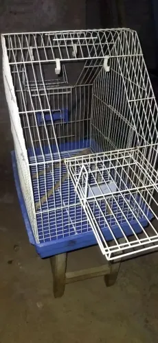 gaiola para calopsitas