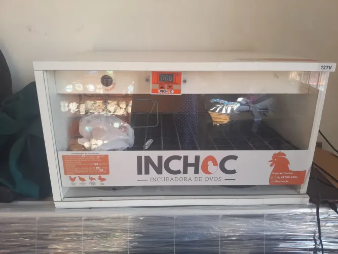 Chocadeira 