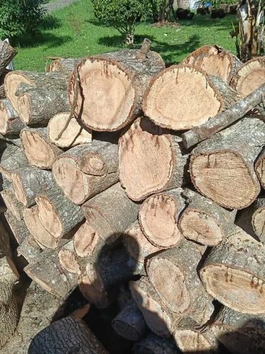 Tenho lenha pra venda