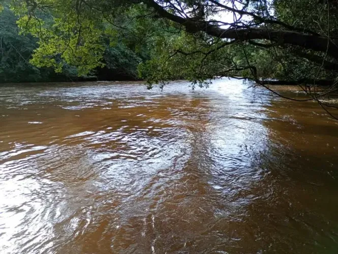 Sítio 10 Hectares com Cachoeira e Rio