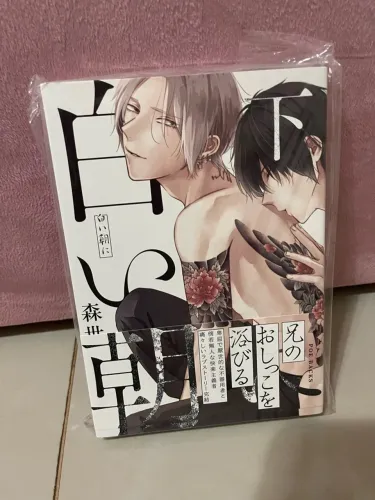 Mangá Bl em Japonês vl 1 (Shiroi Asa ni Shiramu Asa)