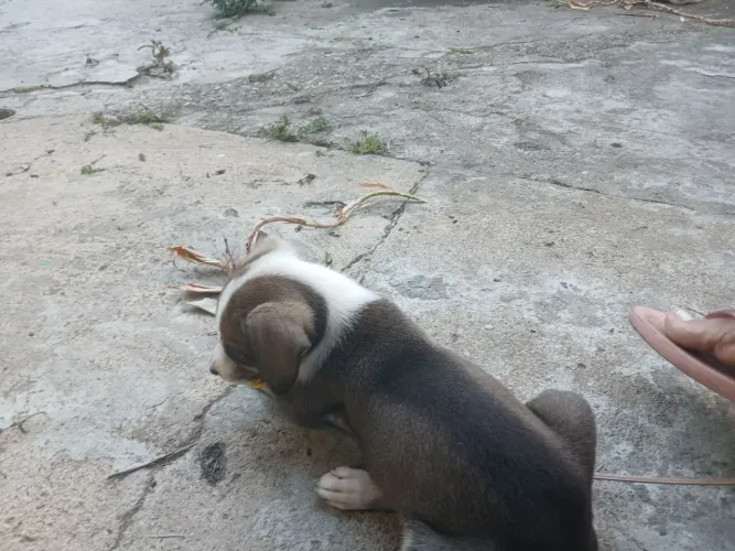 Para doação