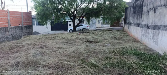 Lote no jardim araucária
