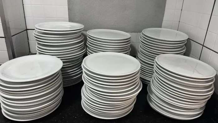 Pratos de Porcelanas 25.5cm