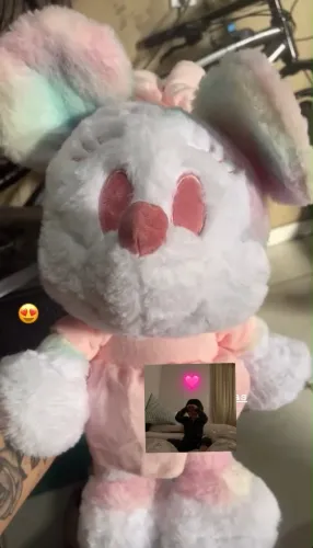 Mini fofa