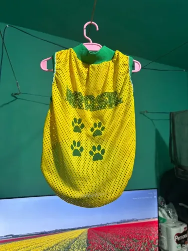 roupa cachorro brasil amarela tamanho 10