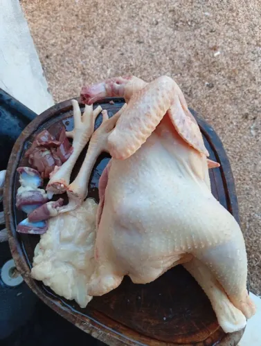 Frango melhorado 