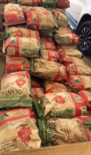 CARVÃO EM ATACADO