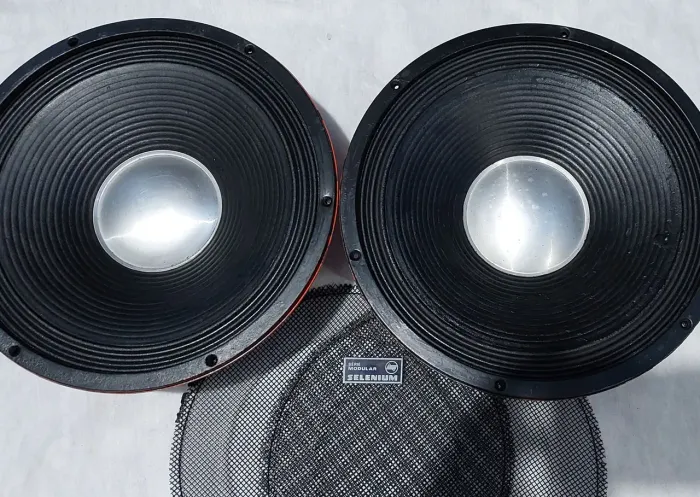 ALTO FALANTE SELENIUM MODULAR ORIGINAL - ÉPOCA DOURADA! <br> 