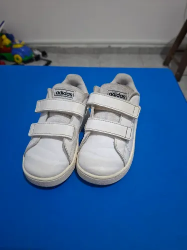 Tenis