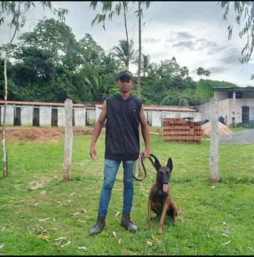 Adestramento de cães