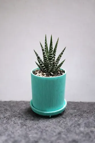 Vaso de planta