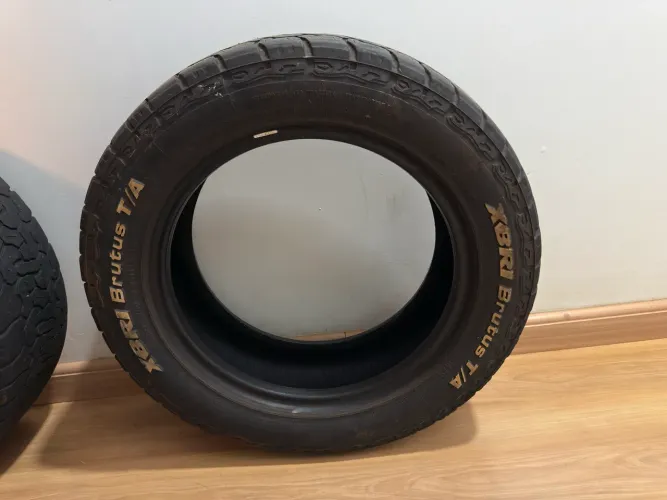 2 Pneus XBRI brutus 205/60 16