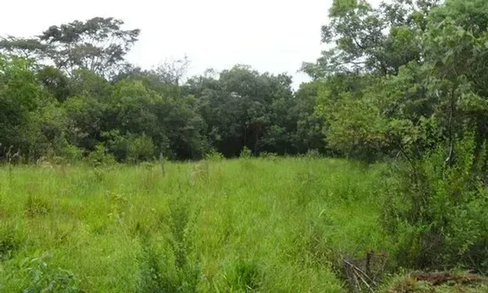 MARAVILHOSO TERRENO ENTRE RIOS DE MINAS-M.G.
