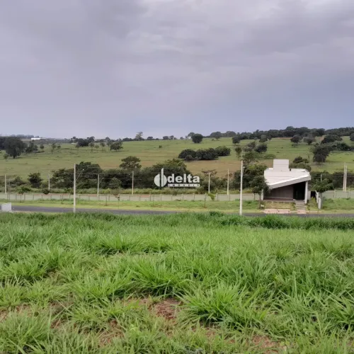 Terreno em condomínio disponível para venda no bairro Granja Marileusa em Uberlândia-MG.
